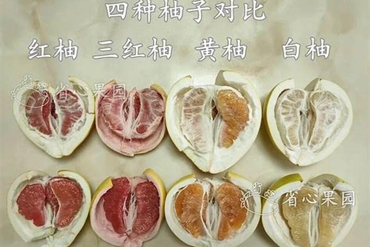 柚子树如何施肥