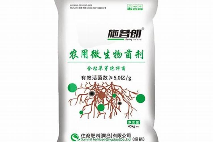 物理的力学怎么理解？