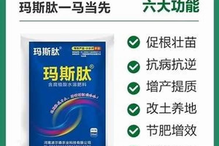 种菜施底肥的正确方法 种菜如何正确施底肥