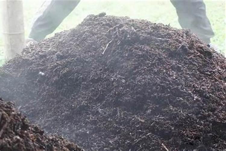 种水稻用什么肥料最好