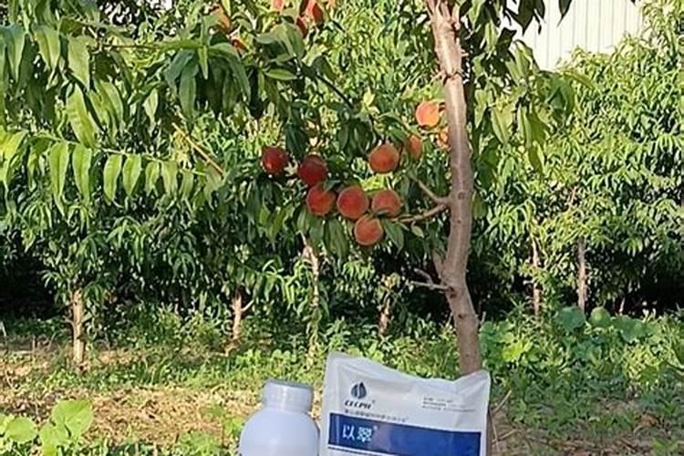 用什么浇花效果最好 浇花用什么好
