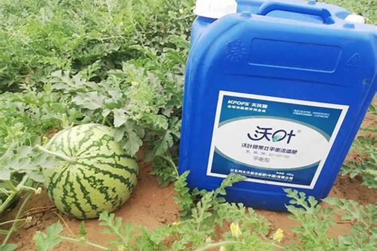 一般的蔬菜瓜果要用到什么肥料