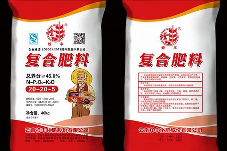 107杨树苗多少钱一棵？107杨树苗怎样种植？