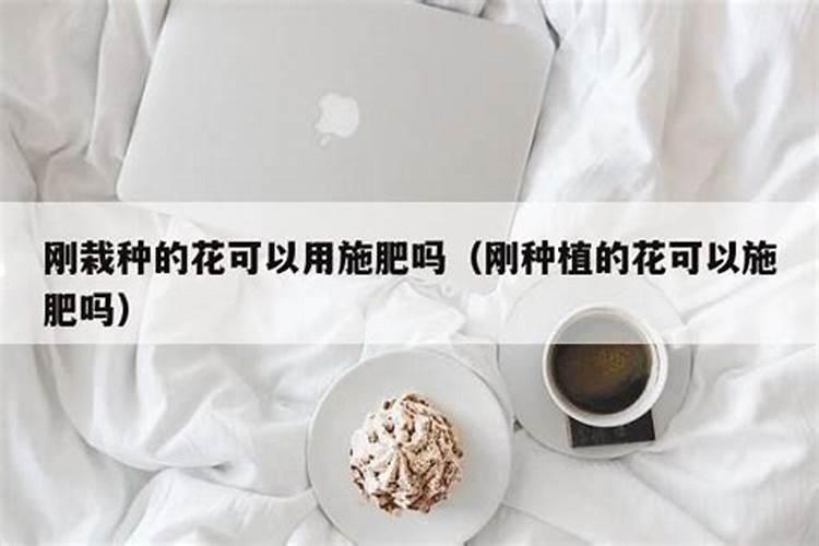 马铃薯栽培如何补充镁肥？