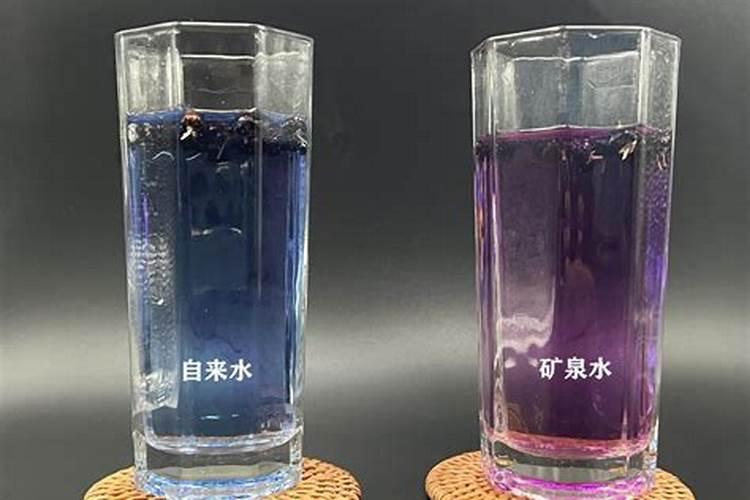 西红柿长多高才打顶