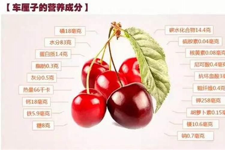 西红柿长多高才打顶 西红柿如何进行整枝