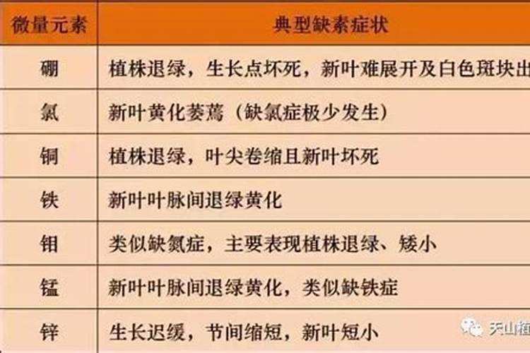 大量元素篇:各种元素的生理作用以及元素缺乏症状表现