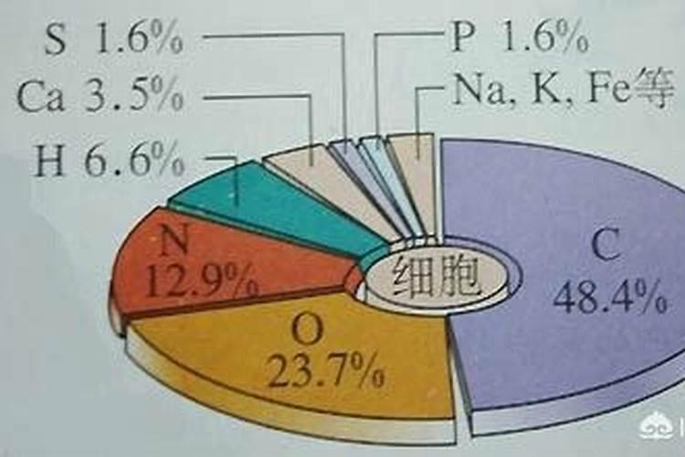 这多肉为什么很多人说好养,我就一直养不好呢？
