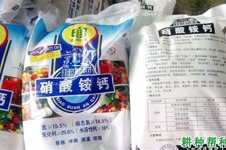 如何用芸苔素拌玉米种