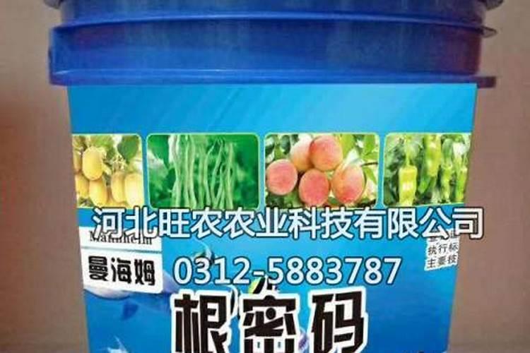 栽大葱用什么肥料最好