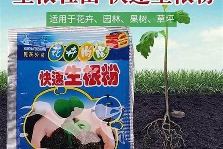 什么是快速生根粉
