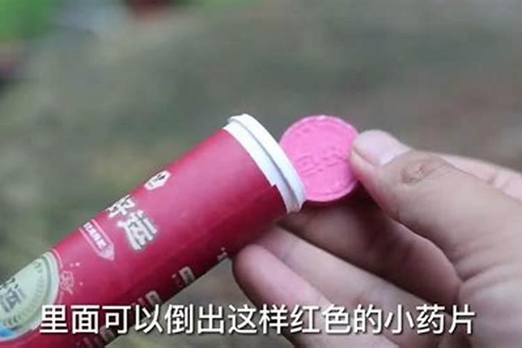 三角梅施什么肥最好？