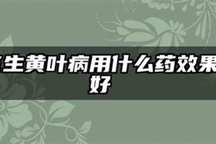 花生苗期叶片发黄怎么办？