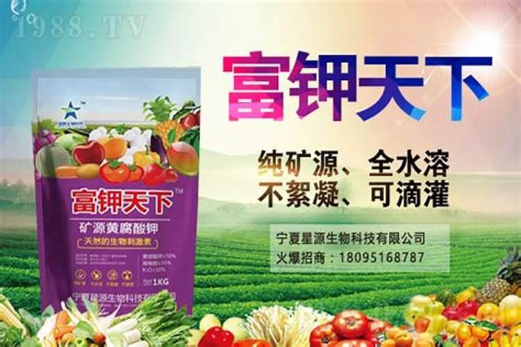 在春未期,突然降温了,适合野钓鱼吗？