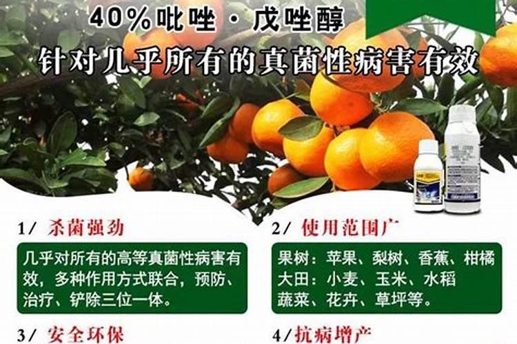 什么药能治桃树穿孔病