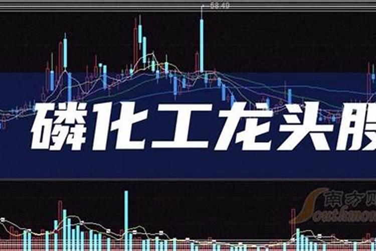 小白菜种子怎么泡,需要泡多久