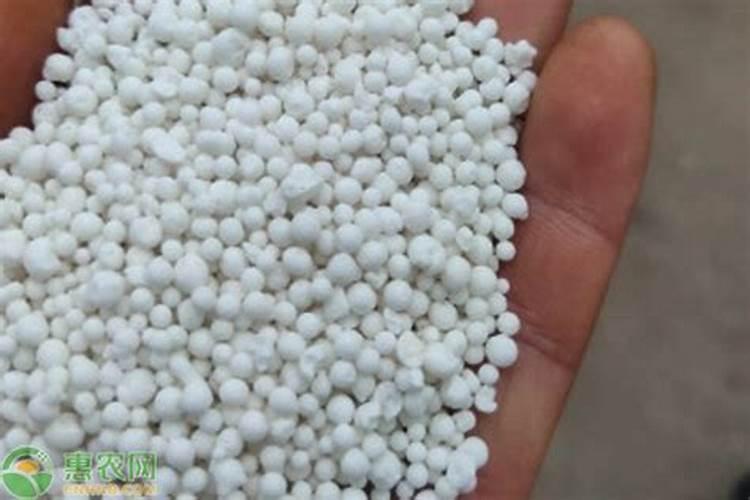 种植苦瓜肥料种毒有什么法解毒