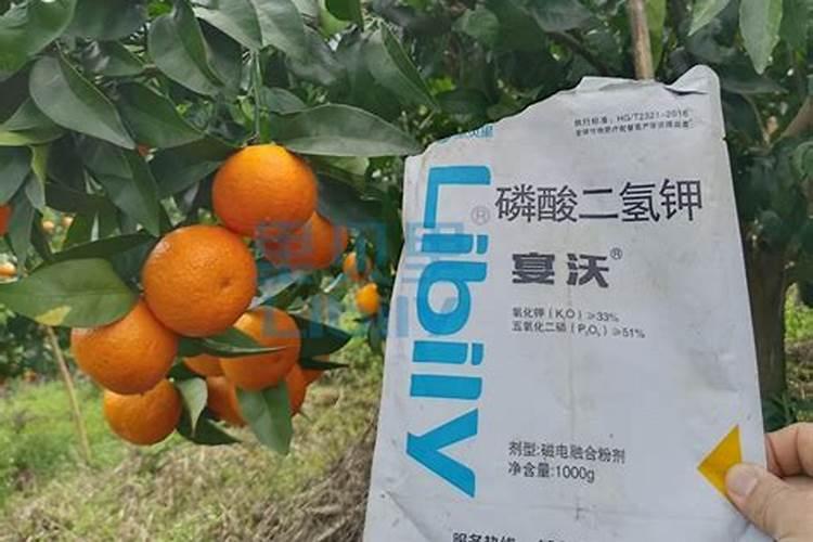 自制水溶肥配方比例