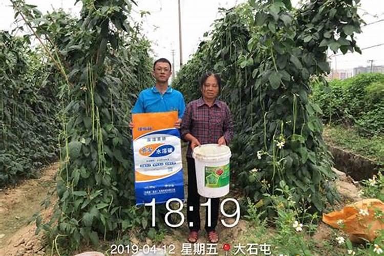 水溶肥排名前十位的有哪些品牌