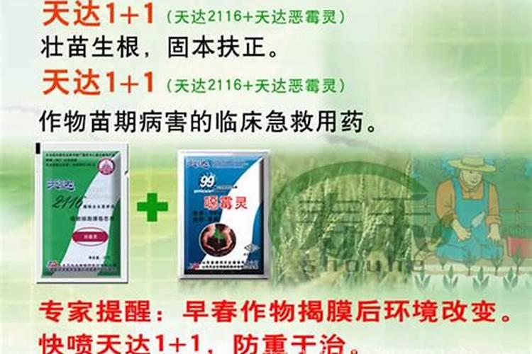 农民防霜冻的方法