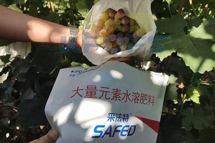 葡萄开花前施什么肥料最好