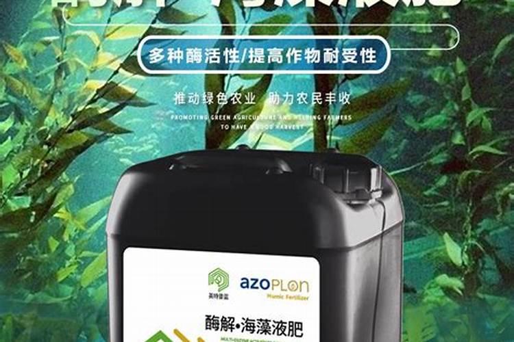 海藻肥怎么用