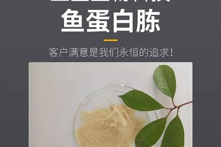 蛋白胨提供的主要营养是什么