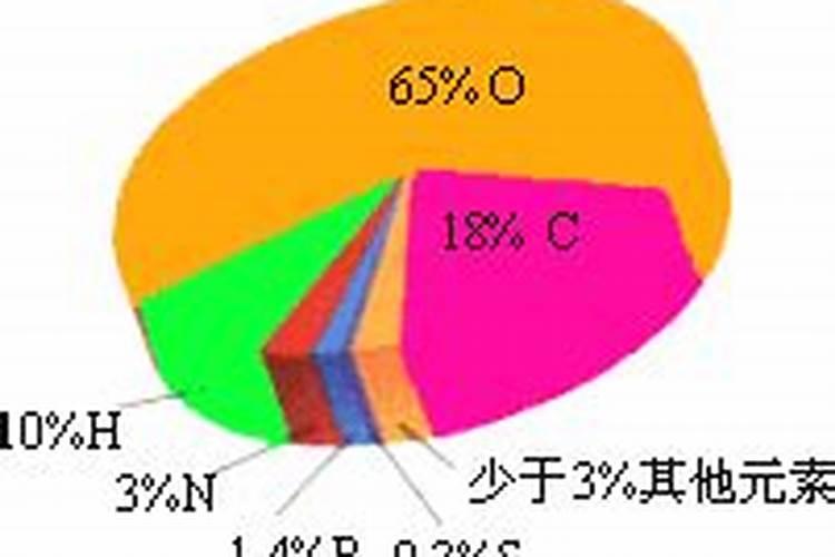 玉米干重元素含量排名