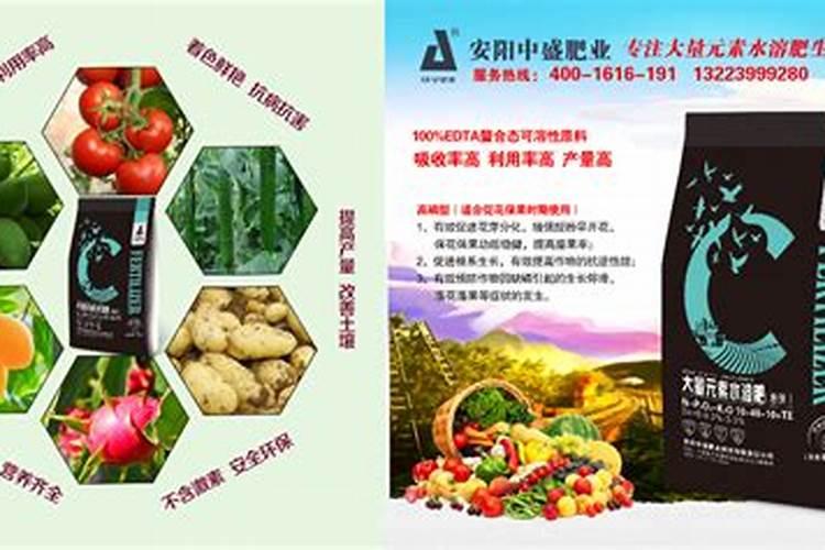 荔枝草和癞蛤蟆草是一种吗？