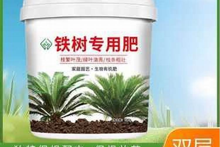 齐默曼钢琴怎么样？