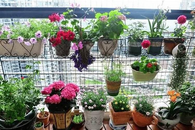 种植大葱的时候,应该如何施肥才能高产？