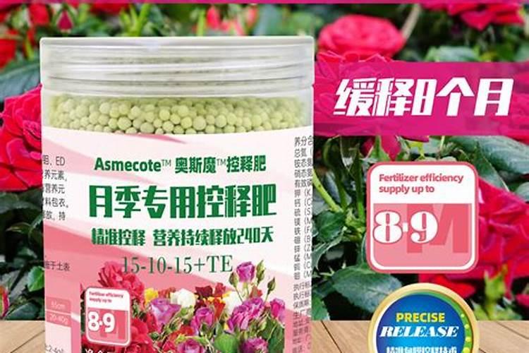 月季花施什么肥开花大