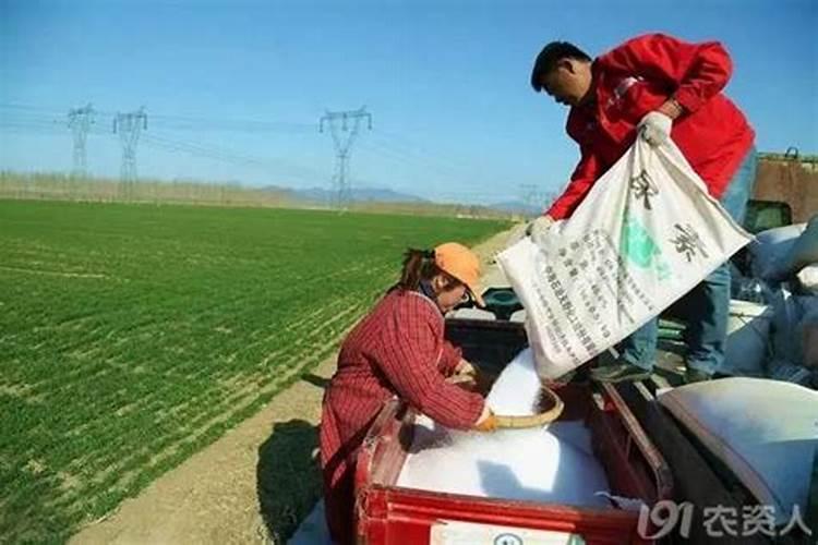 尿素多久施一次