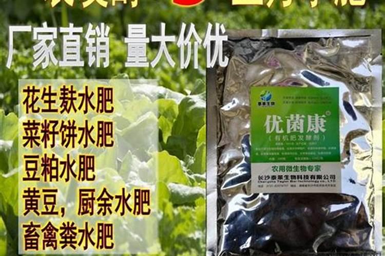 一叶兰用什么肥料