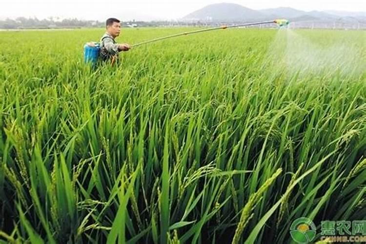 杀菌剂和氨基酸水溶肥能不能一起用