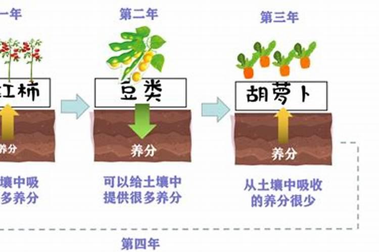 绿肥作用