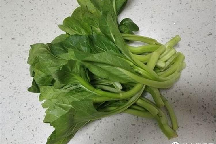 菜心怎么种才不招虫 种菜心不招虫方法