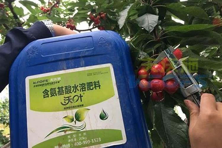 酸雨是如何使土壤酸化的