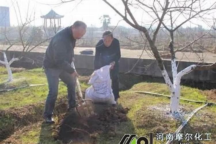 瓜蒌叶面施肥的优点,你有哪些了解呢？