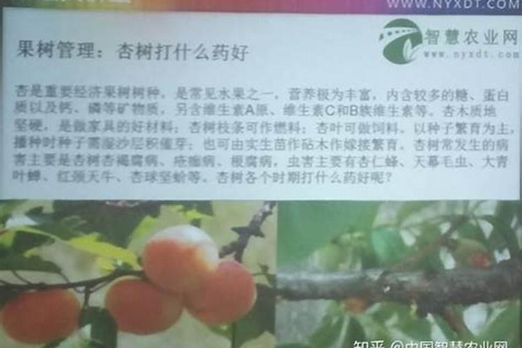 水溶肥可以撒施吗