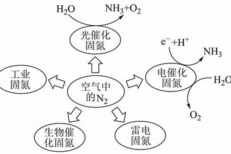 植物组织培养的培养基有那些？