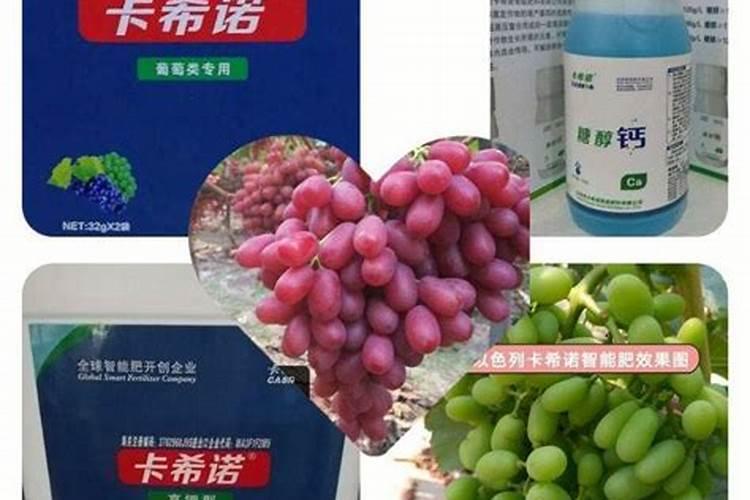 高粱用什么肥料好？