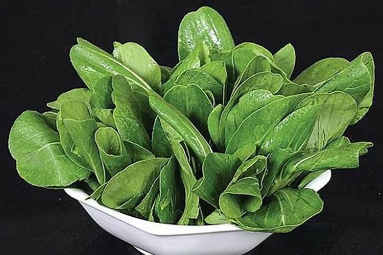 钙肥与水果、蔬菜品质有何关系？