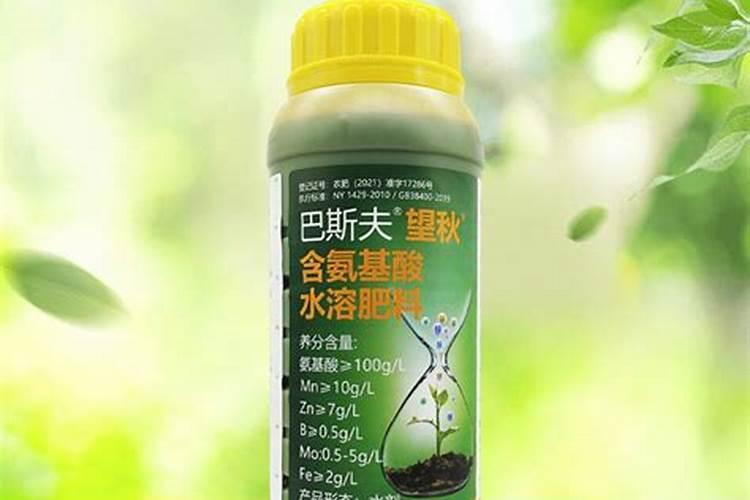 大雪来袭,大棚瓜果蔬菜如何保温？
