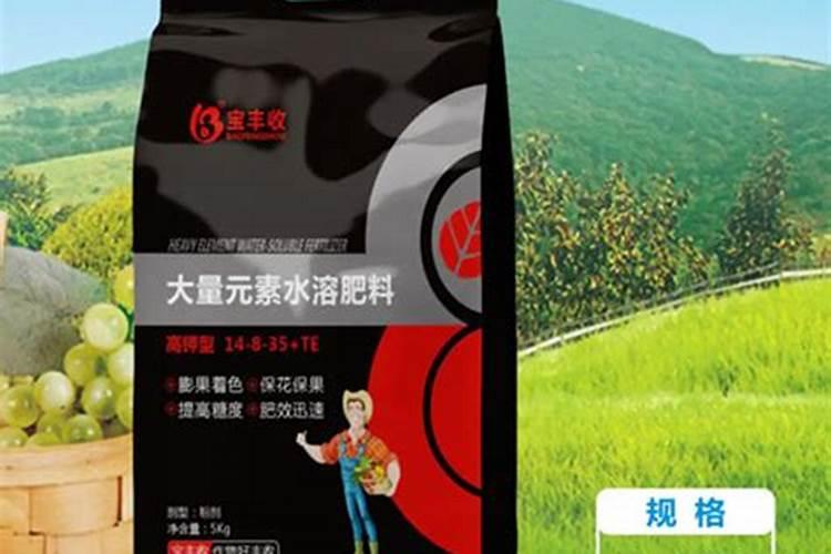 如何让月季老桩快生根快发芽