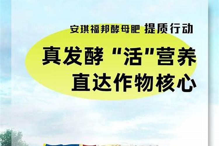 怎样区分氮肥和磷肥和钾肥
