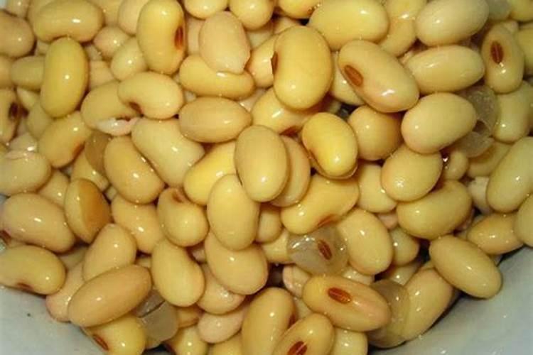 煮熟的豆子能做花肥吗 煮熟的豆子还能做肥料吗