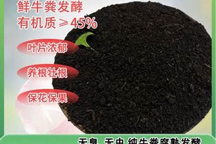 生根肥料有哪些 钾肥的作用是什么
