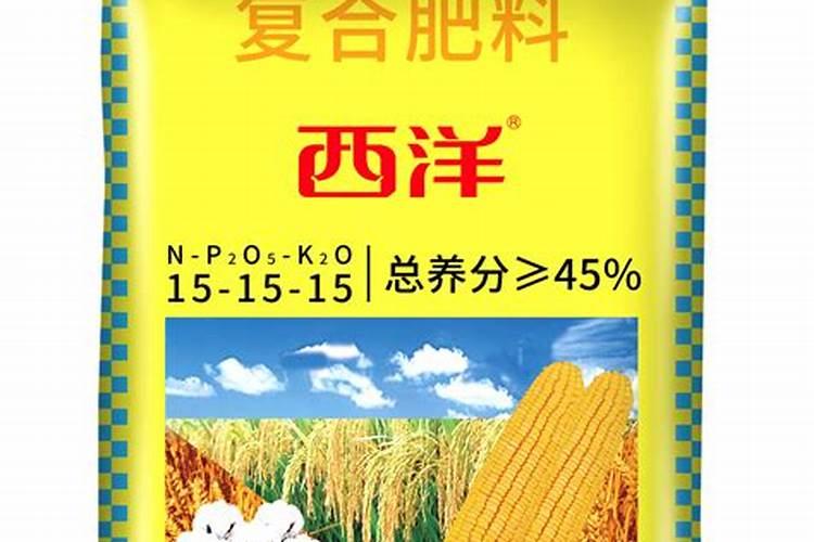 美国历史多少年 美国是发达国家么