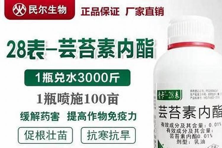 用肥过量使用的危害,氮肥过量的防止办法